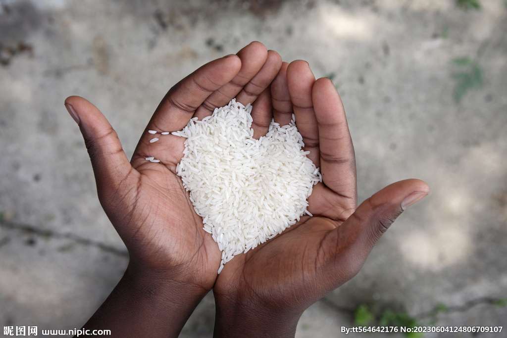 Quality Rice