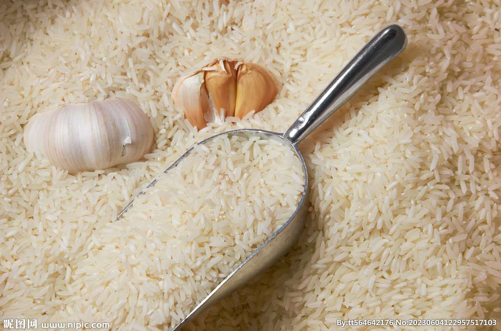 Rice