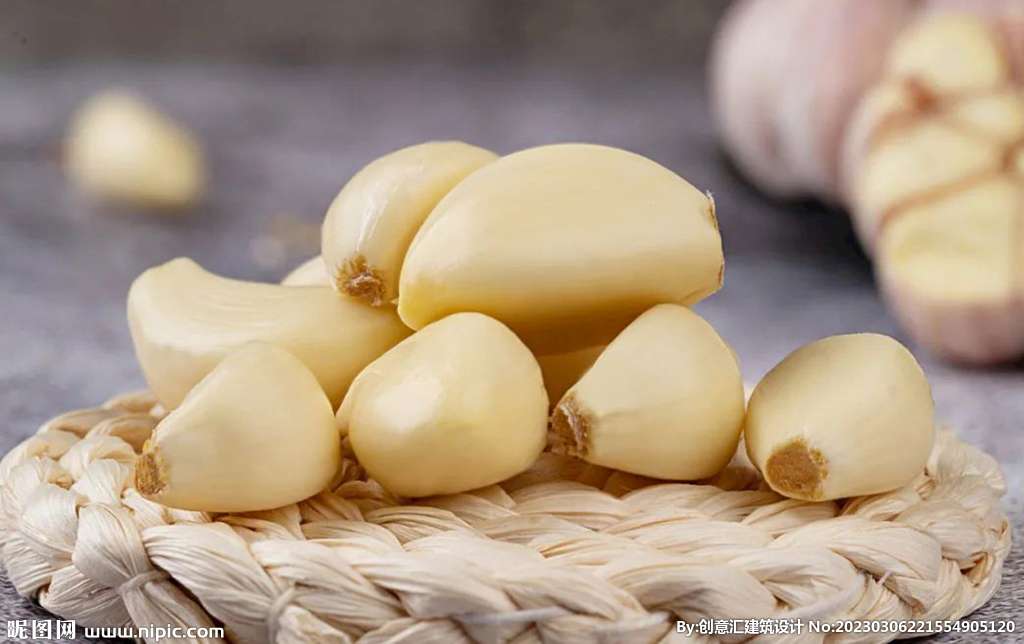 Garlic