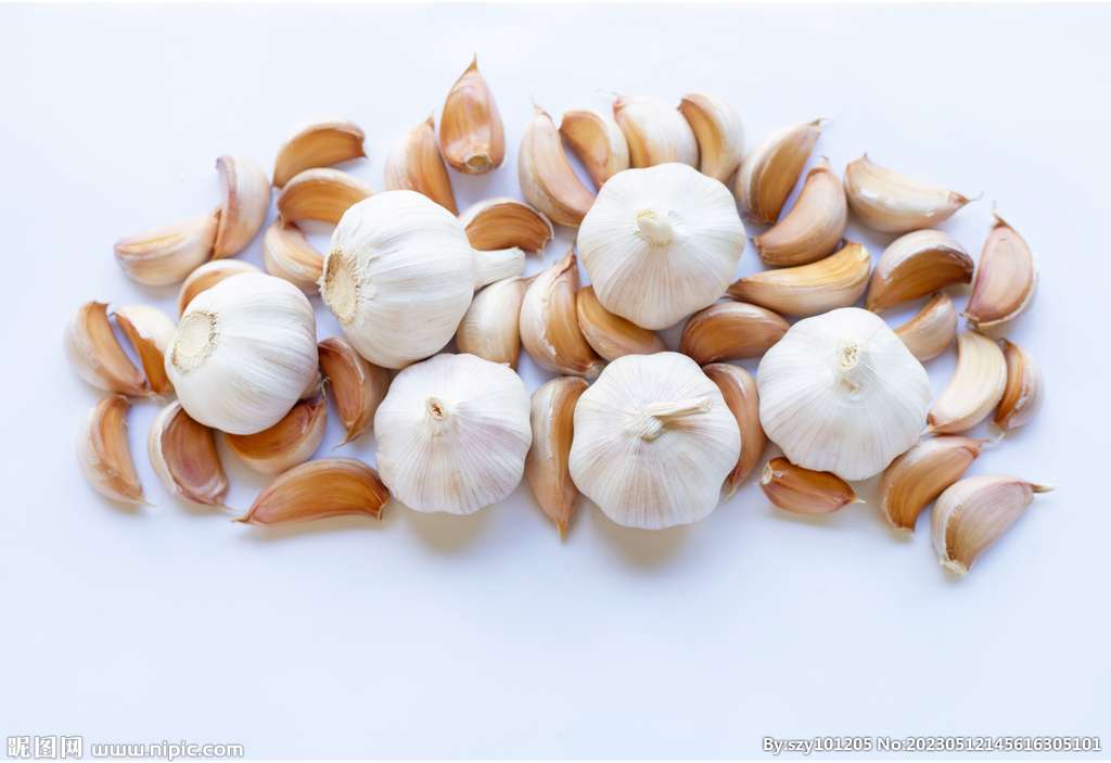 Garlic