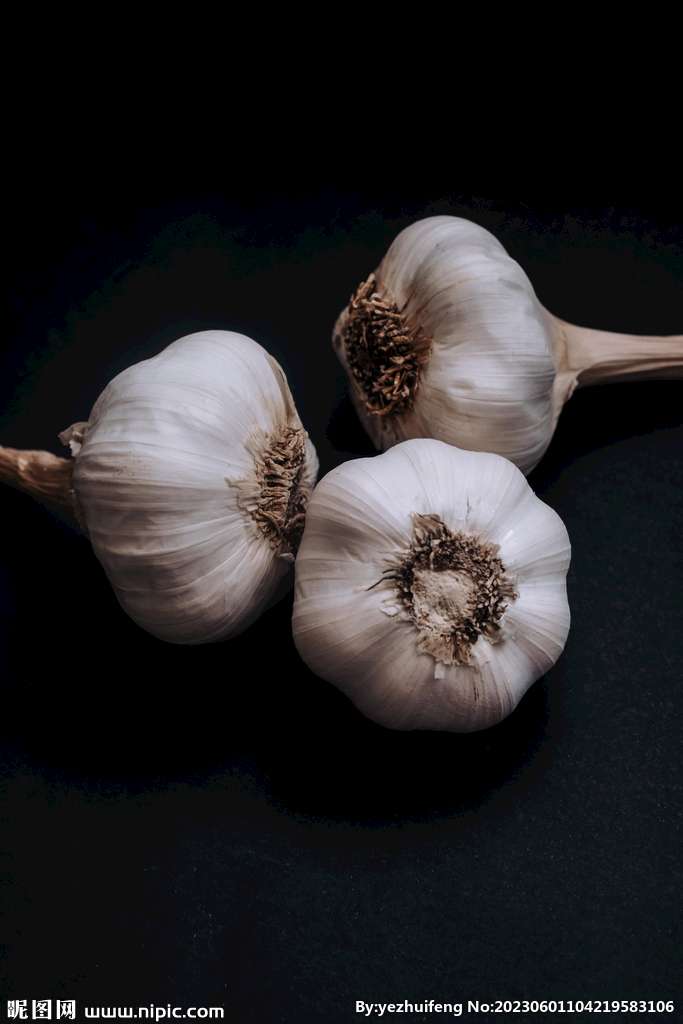 Garlic
